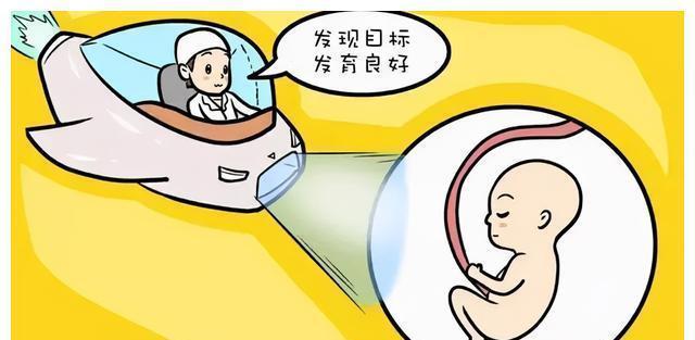 中孕期|中孕期的“大排畸”到底查什么?