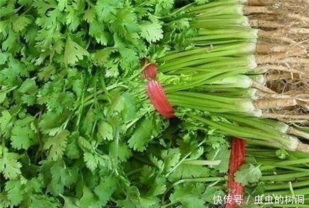 香菜虽好，但不是人人都能吃，此类人吃了对身