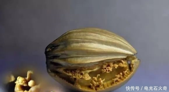 你雕得这么牛逼,让我怎么盘?!