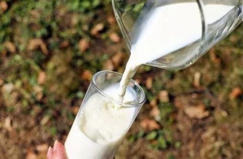 左旋多巴|喝牛奶时千万别吃它,当心中毒!牛奶乱喝还不如不喝…