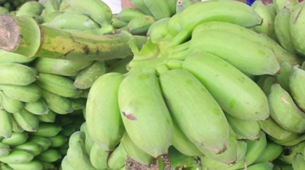 美容养颜|想一直年轻,建议吃的食物,增强皮肤弹性,美容养颜,活血排毒