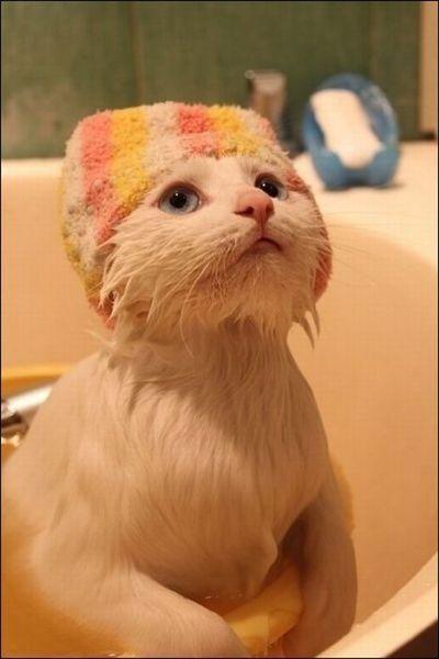 |内涵笑话:你啥时候听说过月老的老婆是谁?