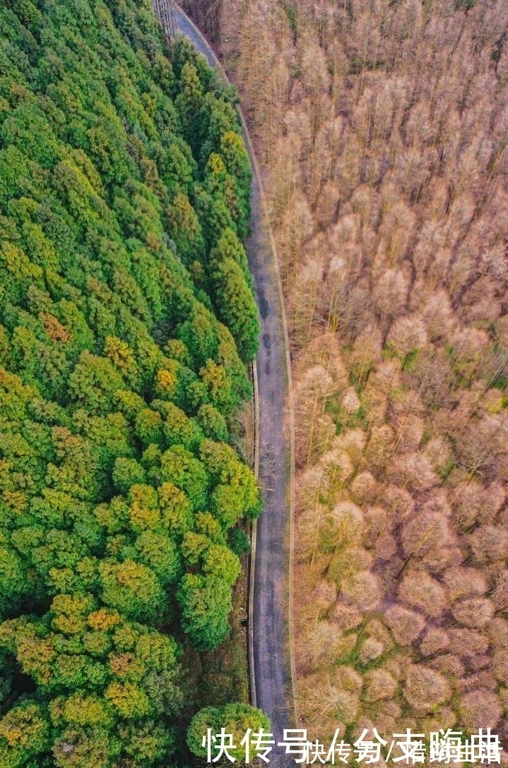 梦幻|低调的美景、最美的天堂，你去这些省市去对了吗？