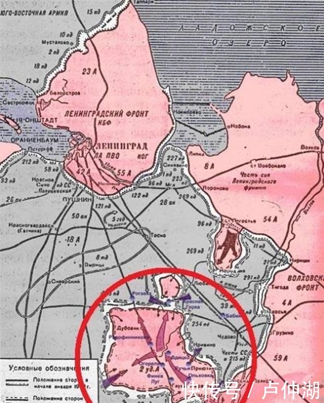 拉脱维亚|令第二突击集团军覆灭的行动，柳班进攻战役，究竟发生了什么？