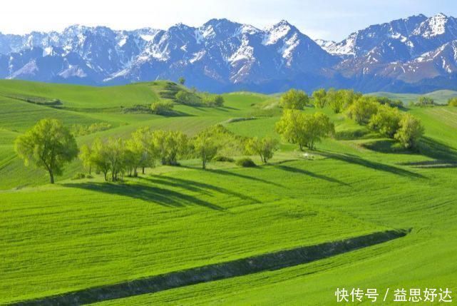 伊犁哈萨克自治州|新疆最美的草原，景色好看的一塌糊涂你去过几个