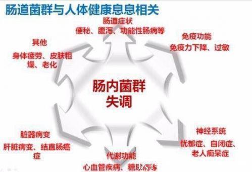 腹泻|经常腹泻、便秘医生养护肠道，只需做到3点，轻松找回益生菌