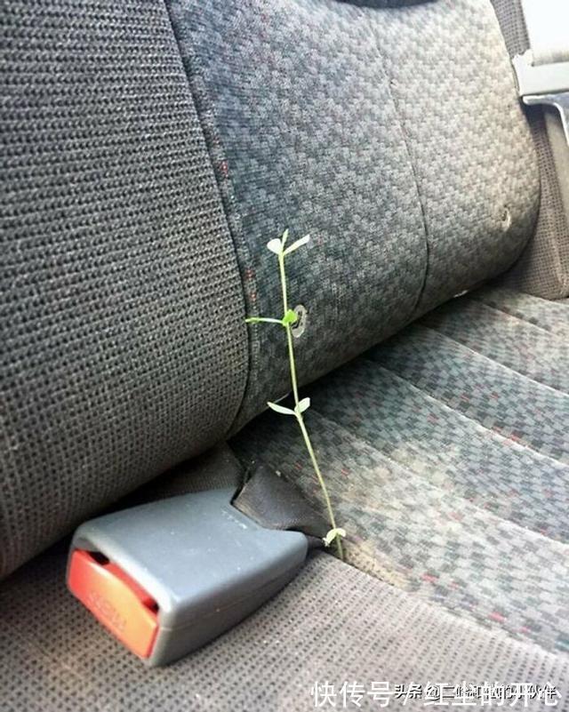 |网友分享的25个奇怪而搞笑的事情,你看过几件?