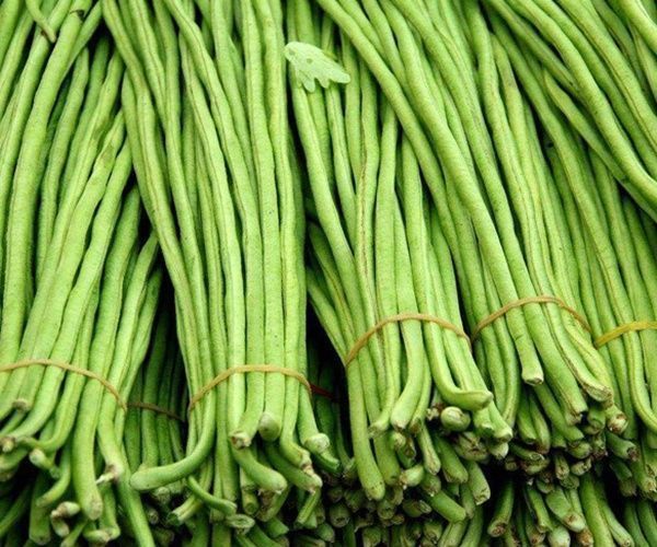 宁愿不吃也别碰以下4种“蔬菜”,寄生虫“成堆”,喜欢也要少吃