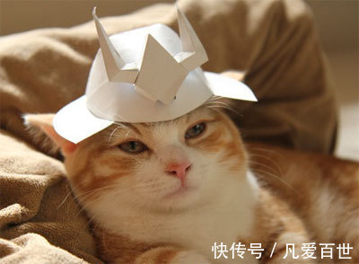 |搞笑动图:不好好走路,哥们你抽筋了么?