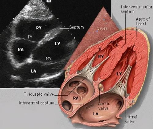  胸闷|胸闷、心悸、心慌、心绞痛？每天5分钟，按摩4个穴位，养心理气