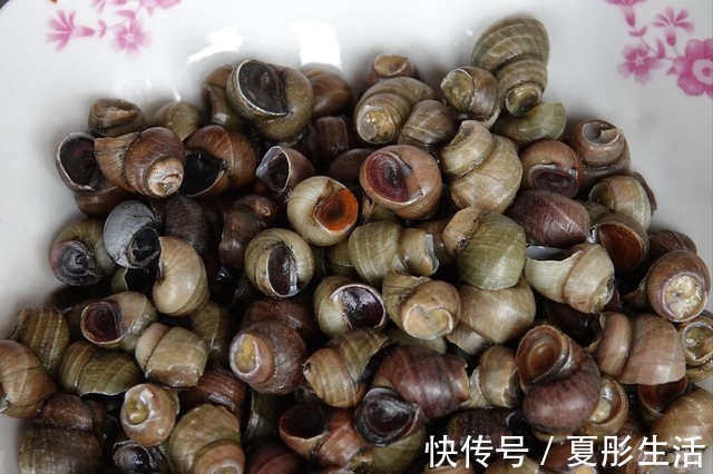 郫县豆瓣酱|夏季田螺正当时，洗田螺别只会放盐，多加2味料，吐沙快速又彻底
