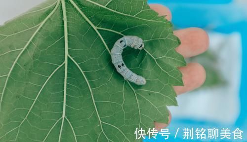 甜食|糖尿病的禍根是甜食？錯！它才是“幕后真兇”，管不住嘴遲早住院