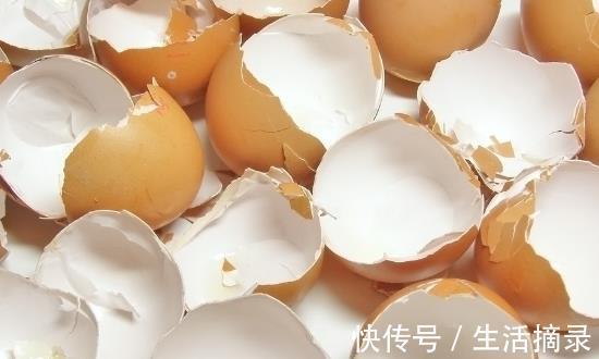 小儿软骨病|鸡蛋壳日常妙用多多 以后可别再傻傻丢掉啦