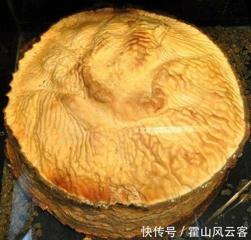 中国神话中四大“不死神兽”,第一个像羊,最后一个是“粮仓”?