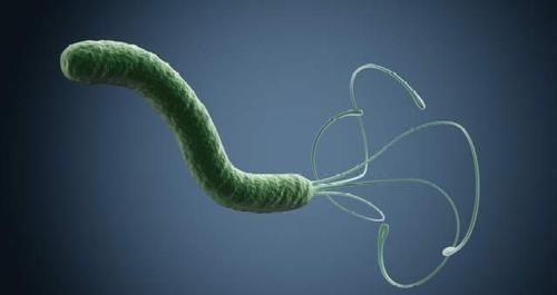 质子泵|新研究:根除幽门螺杆菌,2个药就可以,效果好而副作用少