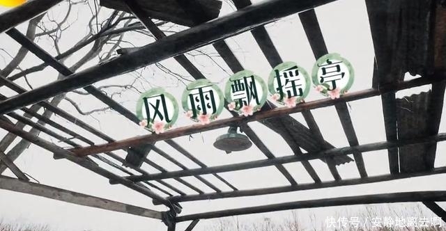 《向往的生活》蘑菇屋条件艰苦?节目组真的没有必要太刻意去设计