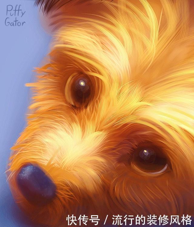 世界|奇幻世界中那些毛茸茸的小动物们