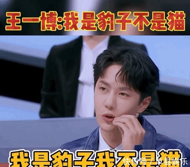 卷心菜|《天天向上》王一博演的猫,让大家知道他为什么能成为好演员!