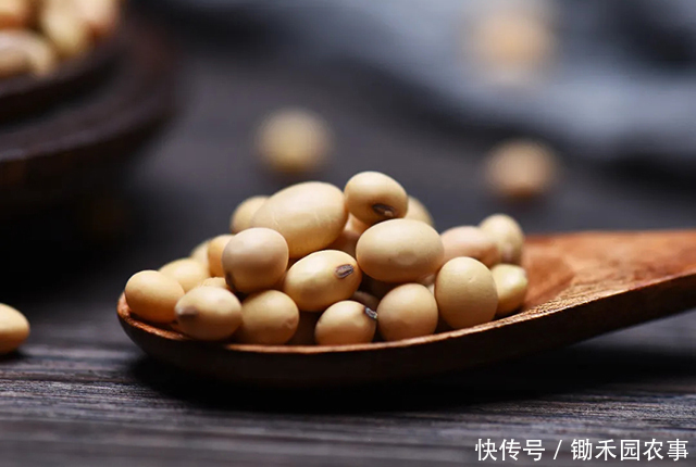 营养|吃豆制品就是营养健康?或许绝大部分是,但这2类除外!