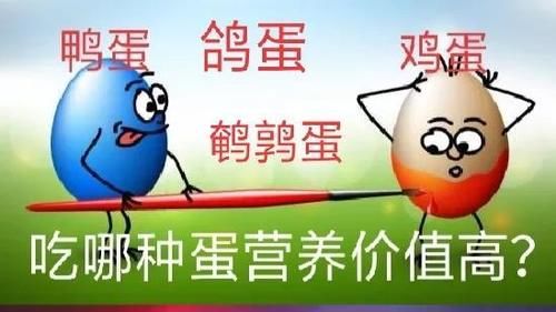 鸡蛋、鸭蛋、鹅蛋、鸽蛋和鹌鹑蛋的营养价值比较。哪个最好？