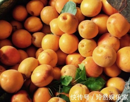 胎儿|五种水果堪称“胎儿杀手”,怀孕后拉入黑名单,再嘴馋也要忍住!