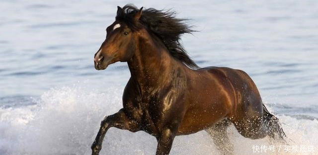  揭秘|揭秘疏附衙太平天国用它传递公文报令，六百里加急变每天25里！