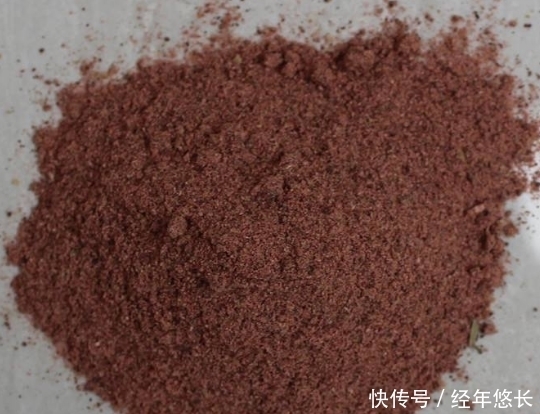 想钓大鲫鱼,饵料里不能少了“它”,一下子就一条,新手也能爆护