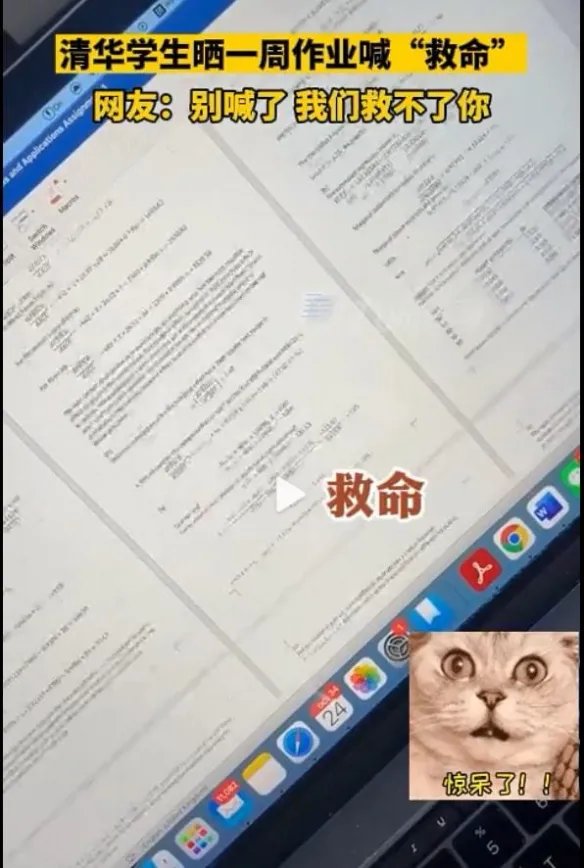 浙大美女學霸人設翻車，打臉了多少“高智商”摸魚黨？