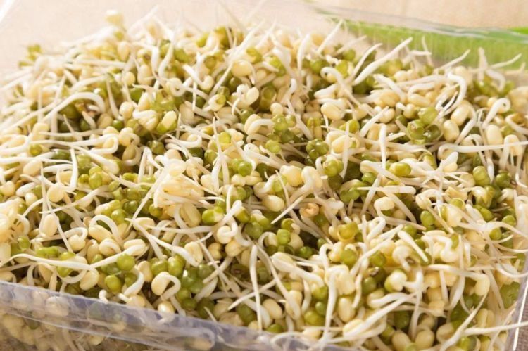 炒豆芽,先焯水还是直接炒?第一步就错,难怪不脆不入味,还腥!