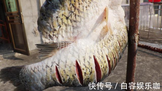 鱼肉|教你正宗腌腊鱼的方法,配料简单味道足,保存时间越长吃起来越香