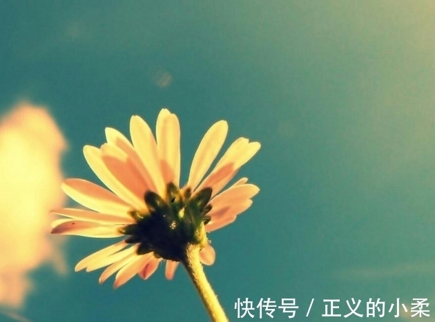 天理|善恶，只在一念间