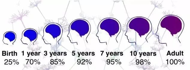 成长|宝宝2岁很关键，是成长和智力发育的重要阶段，家长要心中有数
