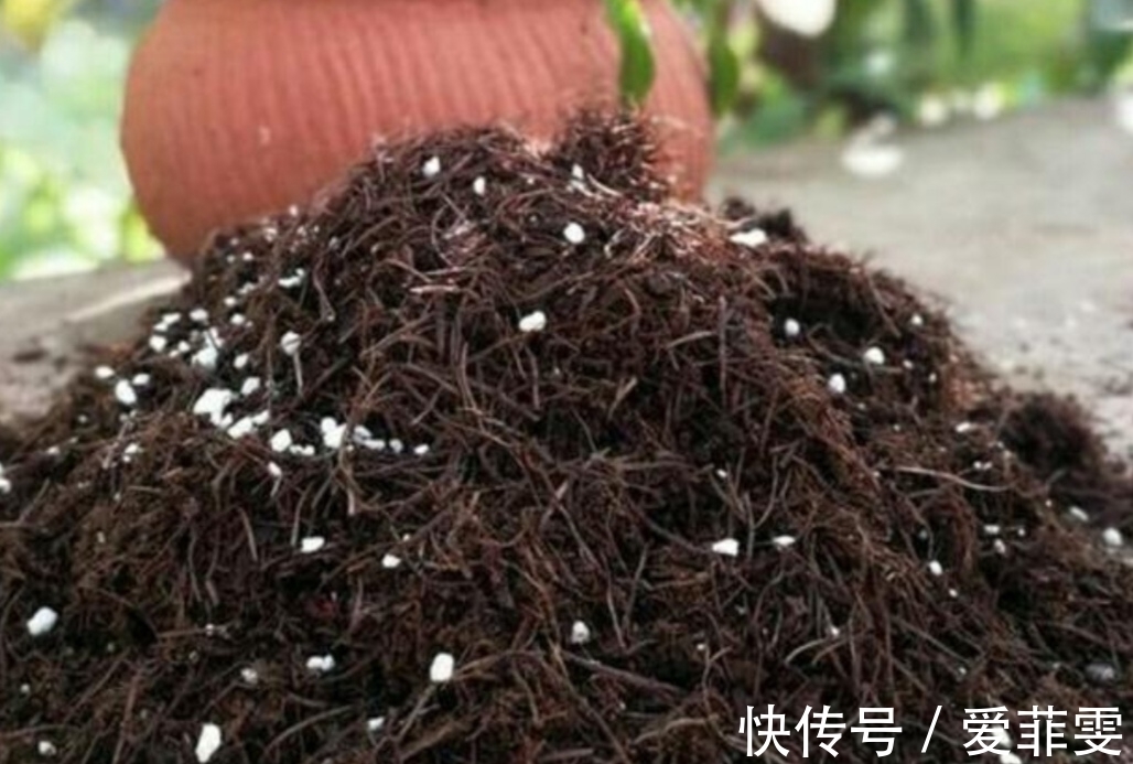 在家自制营养土，松软透气养分足，轻松养好各种花