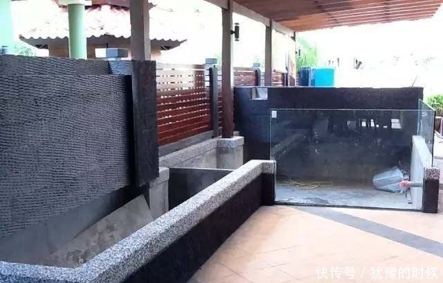 鱼缸和池还可以这样结合?只能说很有想法,有钱我也搞一个!