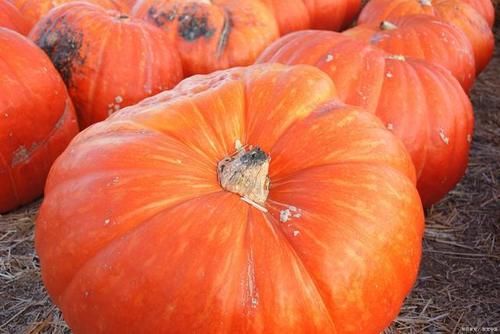 入夏了就应该多吃它，增强大脑功能，抗衰老，特别适合女性朋友