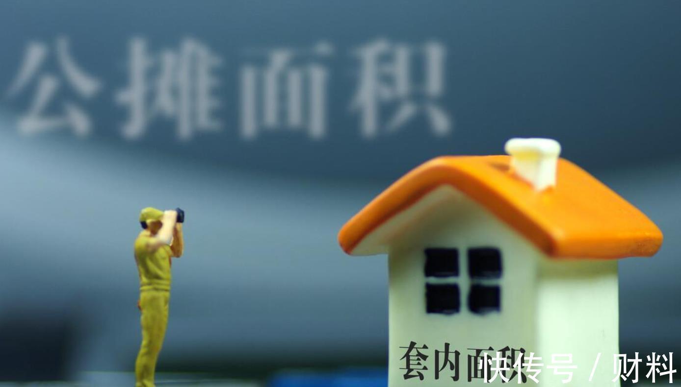 公摊率|买房选择多大面积好?建筑学家提出意见,也要考虑“公摊面积”!