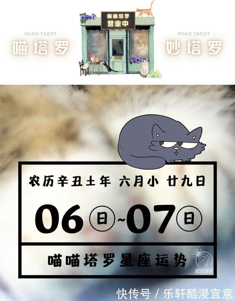 金牛会|喵喵塔罗十二星座运势8月6日~8月7日