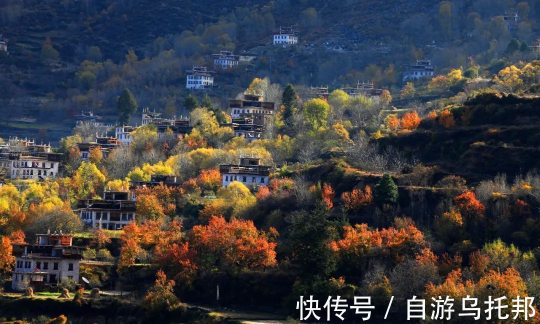 谢娜|《中国地理杂志》评选最美的地方，谢娜被美哭！不去后悔一辈子！