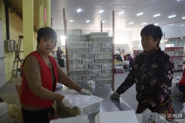 出口包装车|沾化区500吨优质沾化冬枣打包装箱出口美国