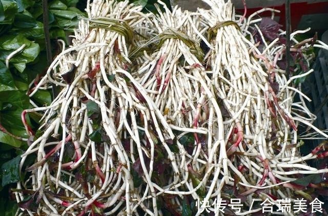 阳台种了“狗狗菜”,有人爱极了有人受不了,其实价值高应该多吃