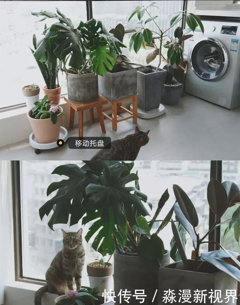 伸缩杆|我家阳台用了4年越用越舒服,天天有人取经如何装修,必须晒晒