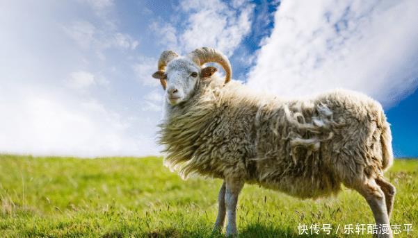 福泽|“十羊九苦”，生肖羊以下4月出生最好命，福泽深厚，财源滚滚