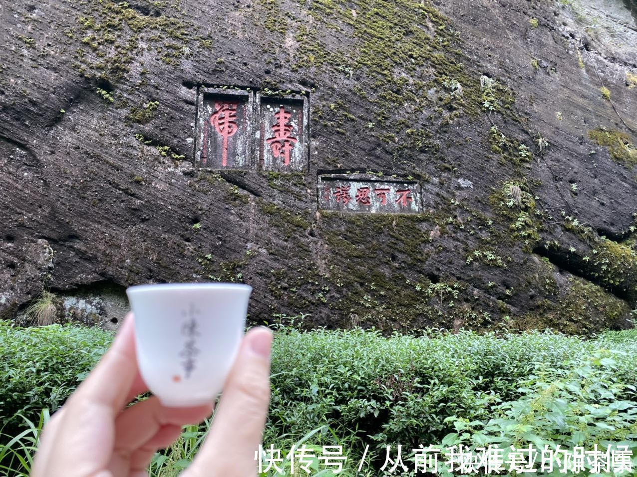 冲泡|六大茶类这样喝，上万的茶也浪费，避开4个错误方式，泡茶很简单