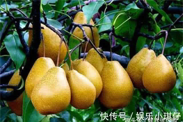 氨基酸|爱美女性不妨多吃3种食物，美容养生，延缓衰老，好处多多！