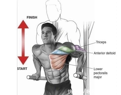 双杠臂|新手都在做俯卧撑,老手却拿双杠臂屈伸练胸,这两个动作差在哪
