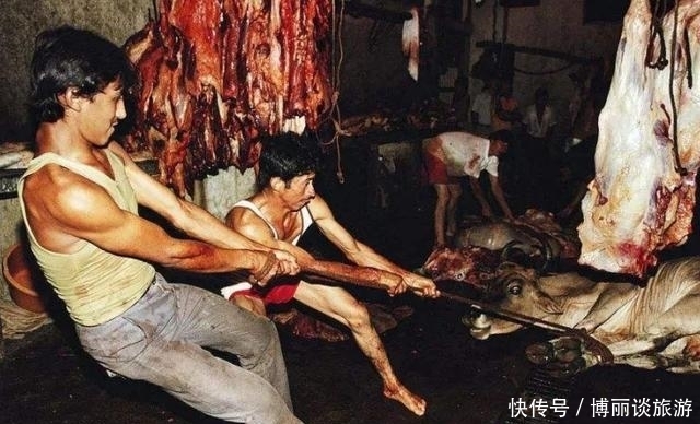 不信奉|印度信奉“牛”不吃牛肉,他们的牛都去哪了?看完之后怀疑人生