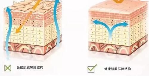 护肤攻略：敏感肌脸颊泛红怎么修复，谁说再见我们会红着脸？