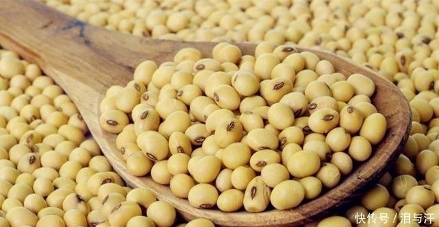 健康|黄豆与它一起煮,气血足了、肾变强了,三高降了,肝也越来越健康