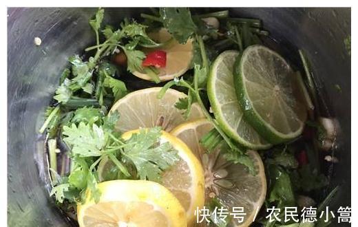 柠檬|它是减肥菜中的“榜首”,减肥瘦身快,腰肢纤细,衣服随便穿