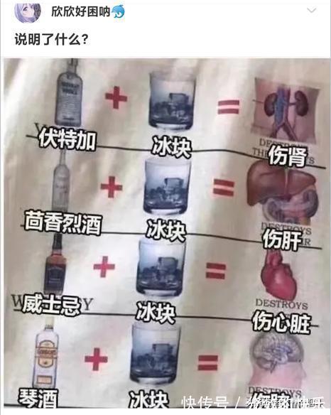 |当代网友的搞笑高智商神回复第333篇